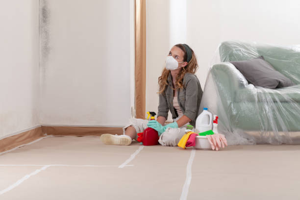 Reliable Black Mold Removal contractor in South Amboy, NJ by WQB Mold Removal